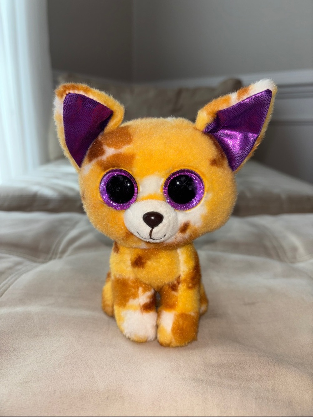 TY Beanie Boo Chihuahua Plush “Pablo”